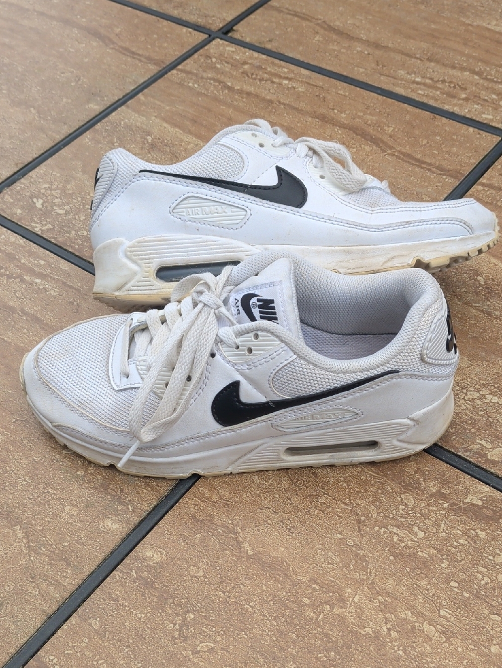 Nike Air Max Low-Top Sneakers